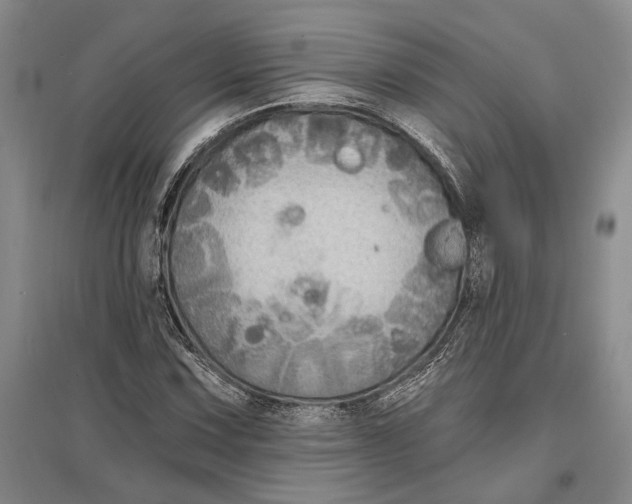 X0000096991067200802291204