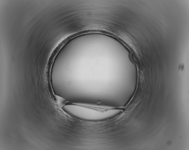 X0000096991068200802291204