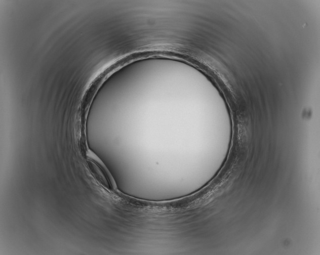 X0000096991069200802291204