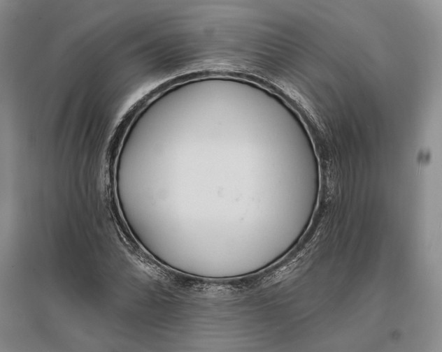 X0000096991070200802291204