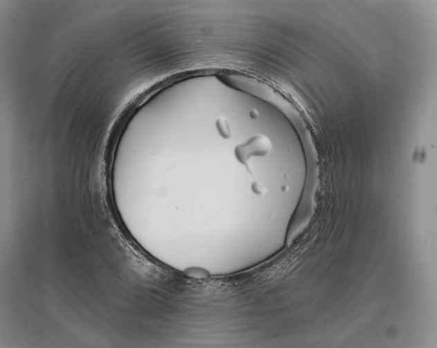 X0000096991072200802291204