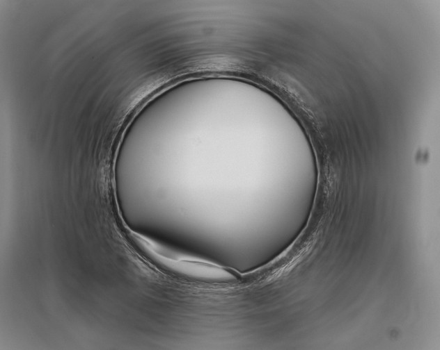 X0000096991073200802291204