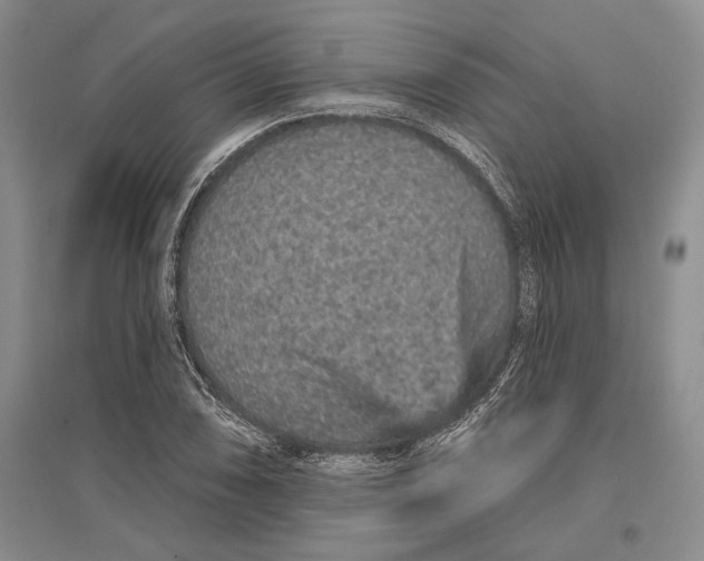 X0000096991074200802291204