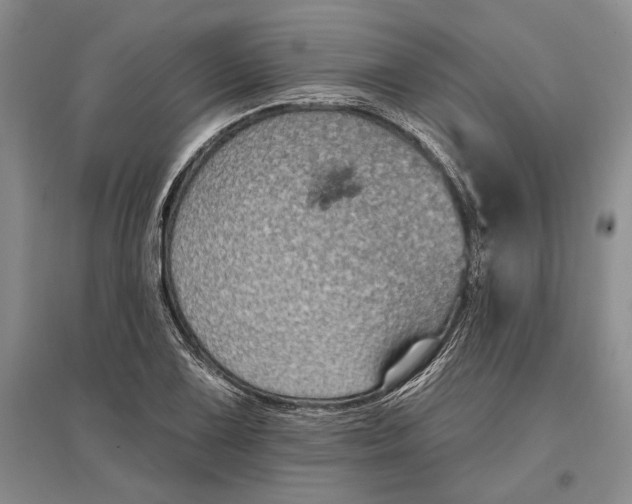 X0000096991075200802291204