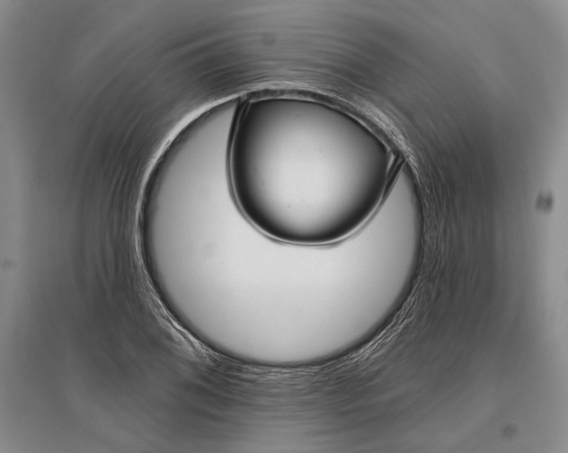 X0000096991076200802291204