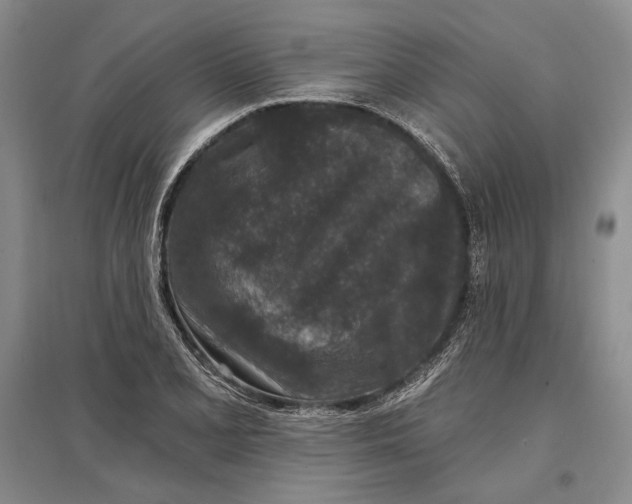 X0000096991077200802291204