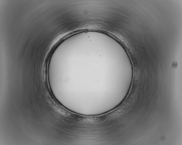 X0000096991078200802291204