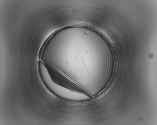 X0000096991079200802291203