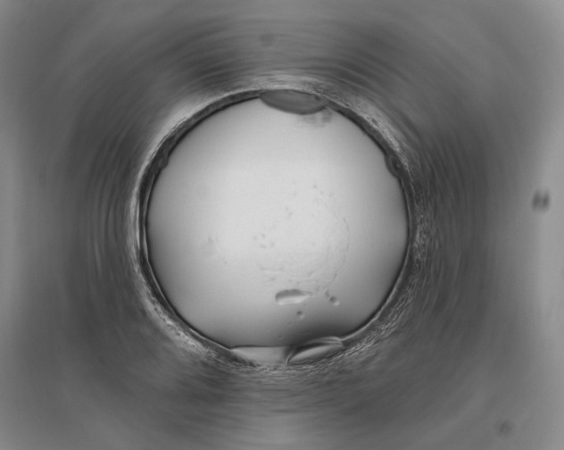 X0000096991080200802291203