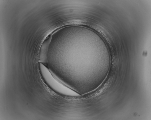 X0000096991081200802291203