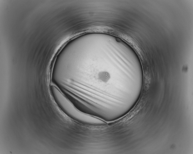 X0000096991083200802291203