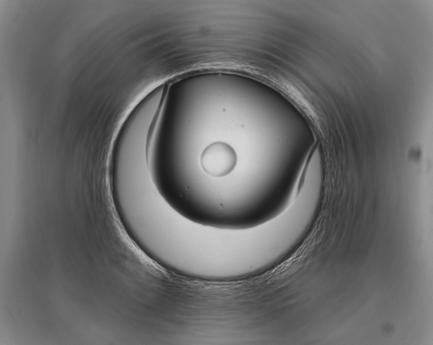 X0000096991084200802291203