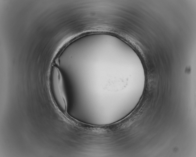 X0000096991085200802291203