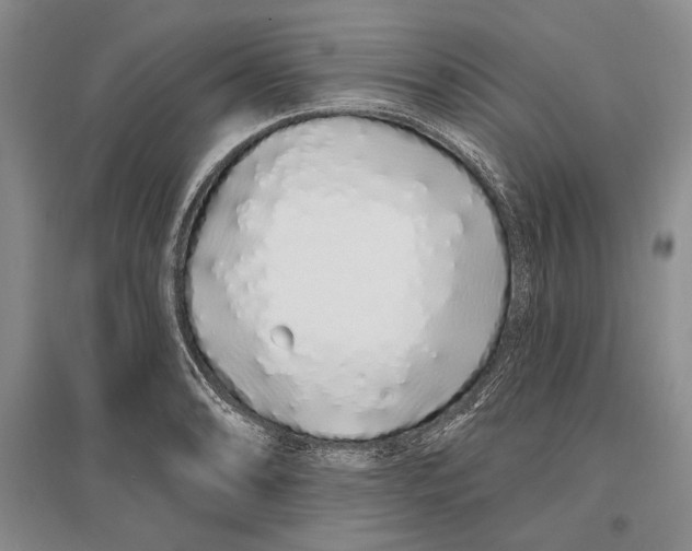 X0000096991086200802291203