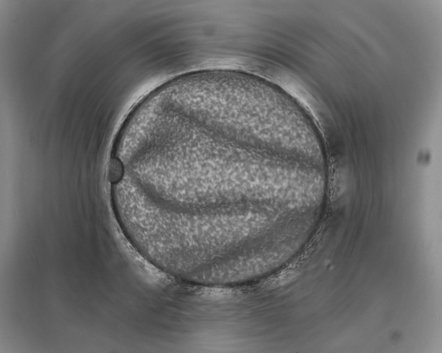 X0000096991088200802291203