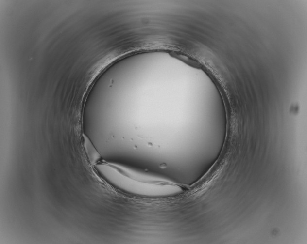 X0000096991089200802291203