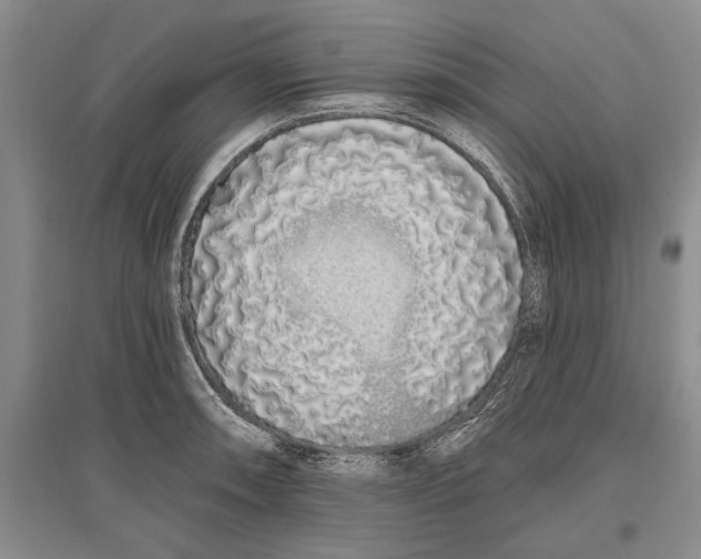 X0000096991090200802291203