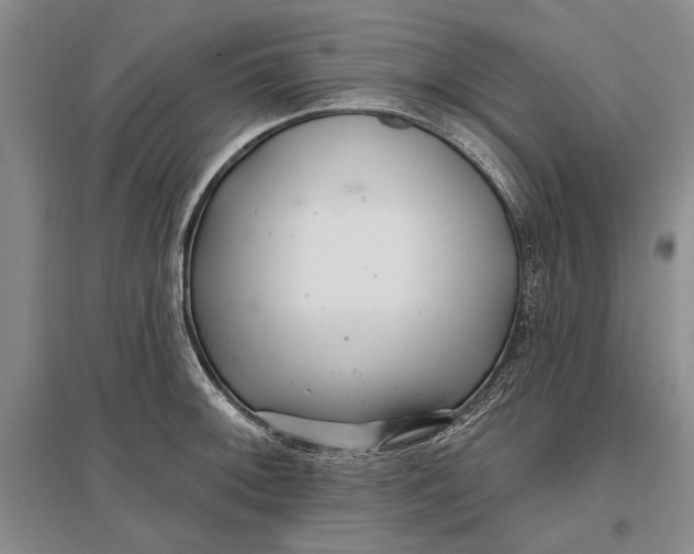 X0000096991092200802291203