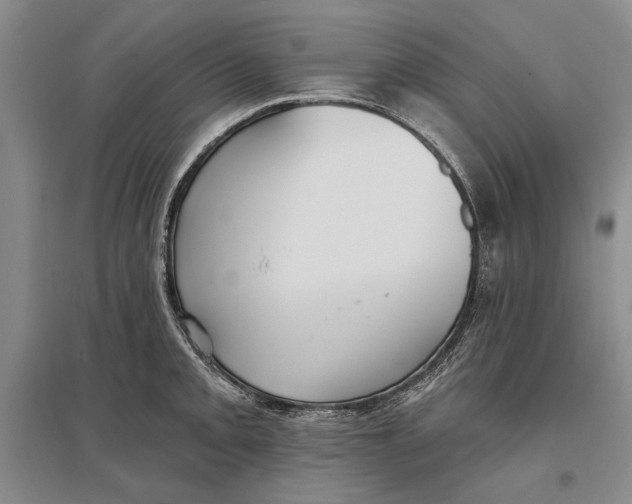 X0000096991093200802291203