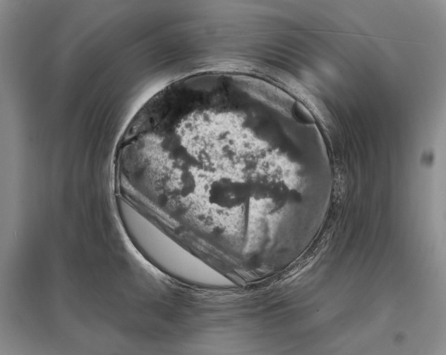 X0000096991095200802291203