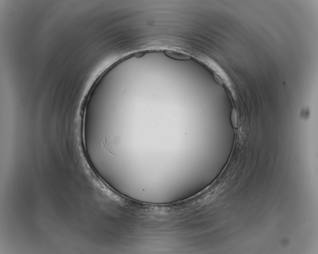 X0000096991096200802291203