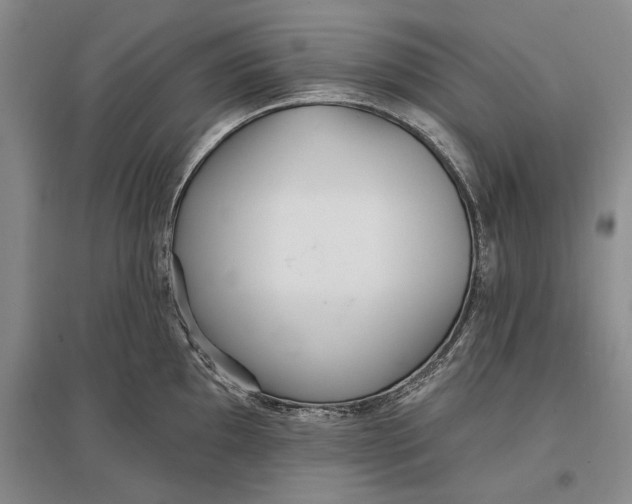 X0000096991097200802291203