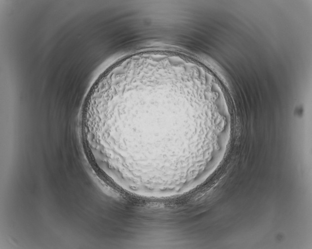 X0000096991098200802291203