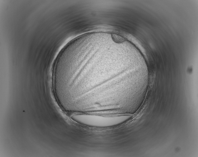 X0000096991099200802291203