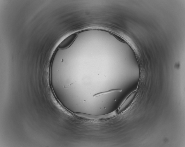 X0000096991100200802291203