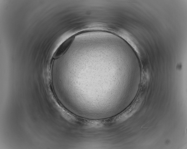 X0000096991101200802291203