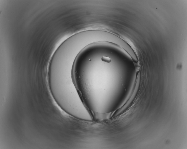 X0000096991103200802291203