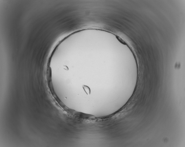 X0000096991104200802291203