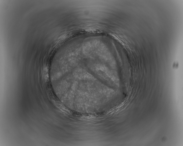 X0000096991106200802291202