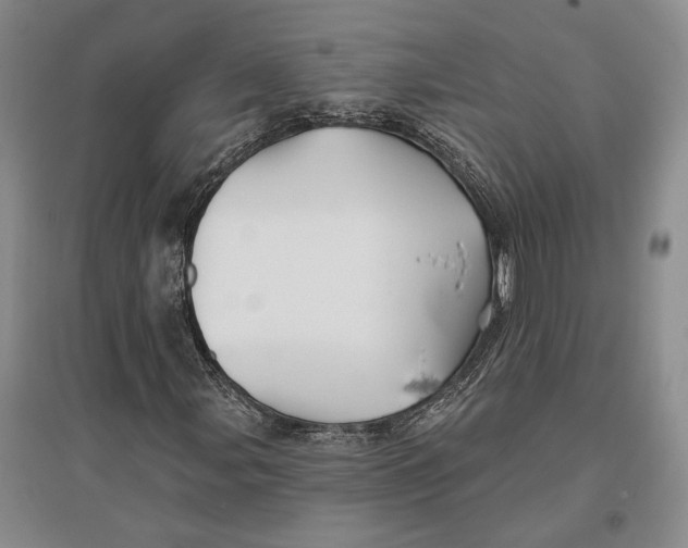 X0000096991107200802291202