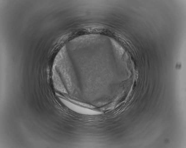 X0000096991108200802291203