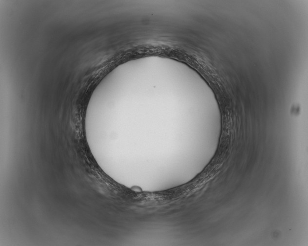 X0000096991109200802291203