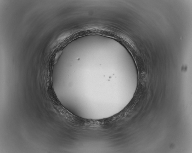 X0000096991111200802291203