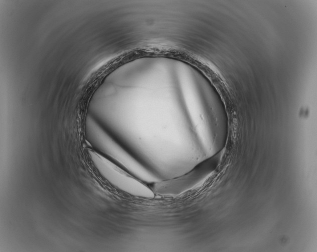 X0000096991112200802291203