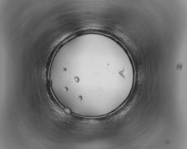 X0000096991113200802291203