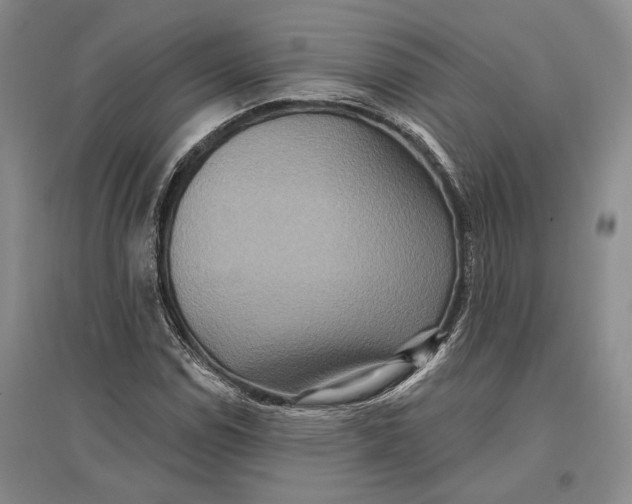 X0000096991114200802291203