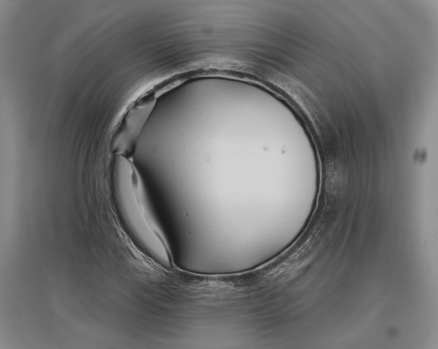 X0000096991115200802291203