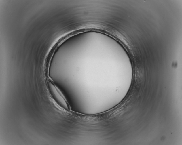 X0000096991116200802291203