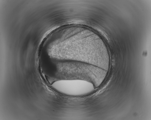 X0000096991117200802291203