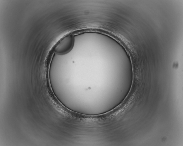 X0000096991118200802291203