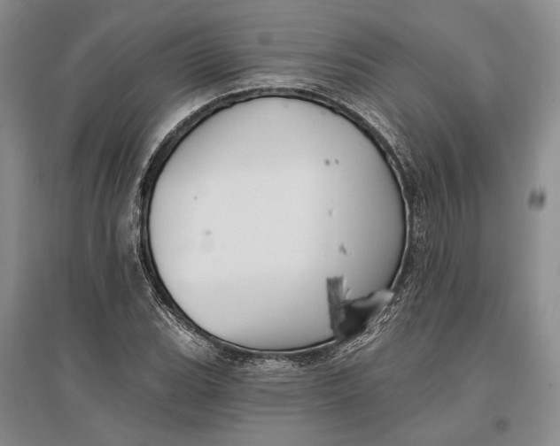 X0000096991119200802291203