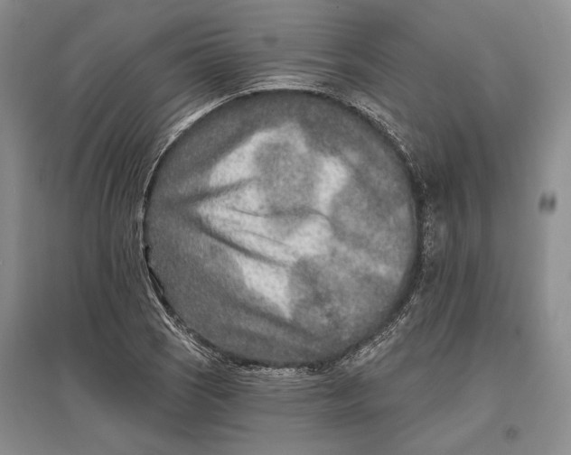 X0000096991121200802291203