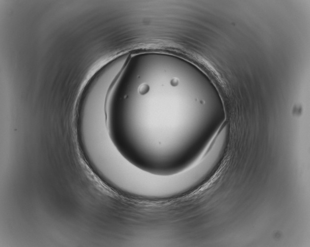 X0000096991122200802291203