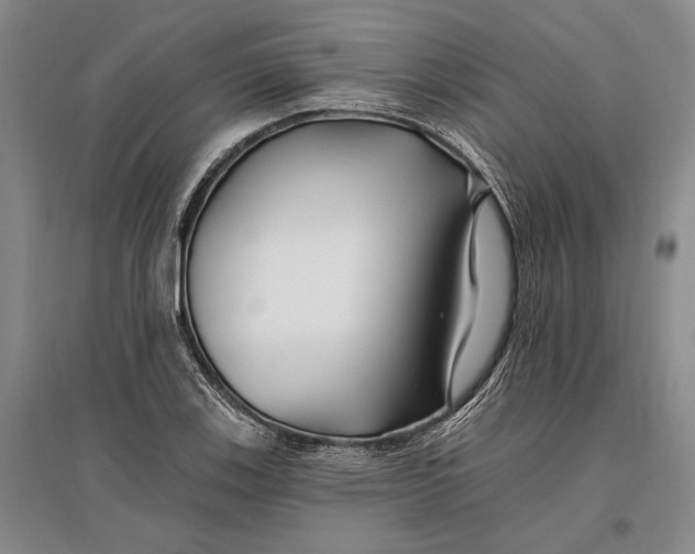 X0000096991123200802291203