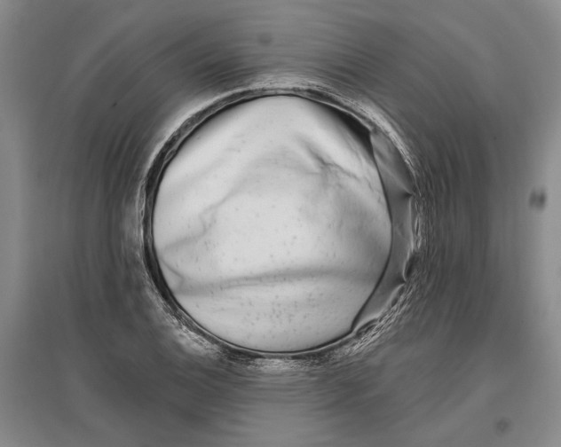 X0000096991124200802291203