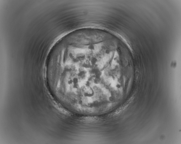 X0000096991125200802291203